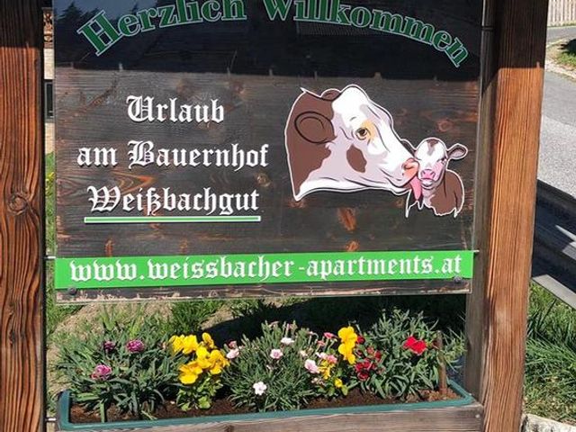 Appartements Leogang